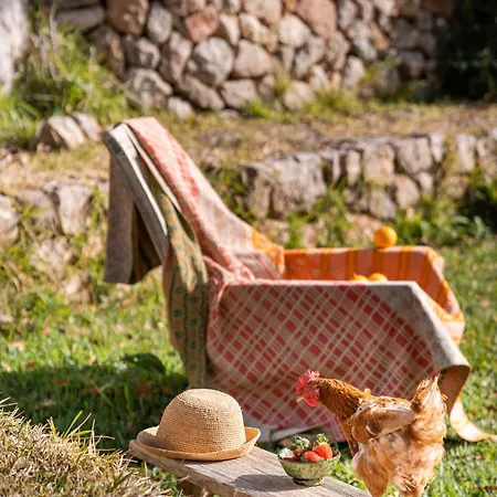 Agroturismo Son Viscos-2